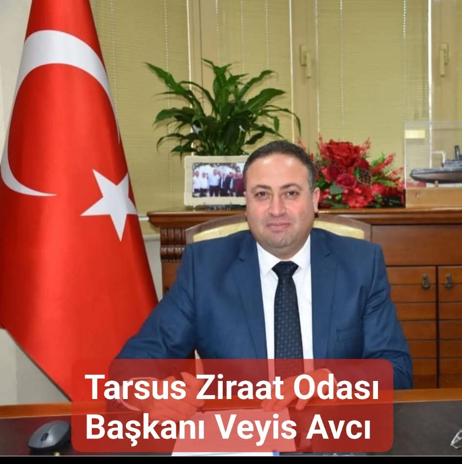 TARSUS ZİRAAT ODASI BAŞKANI VEYİS AVCI: “ÜRETİCİMİZİN VE İŞÇİMİZİN MORALİ YERİNDE, TARIM SEZONU YOĞUN TEMPODA DEVAM EDİYOR”