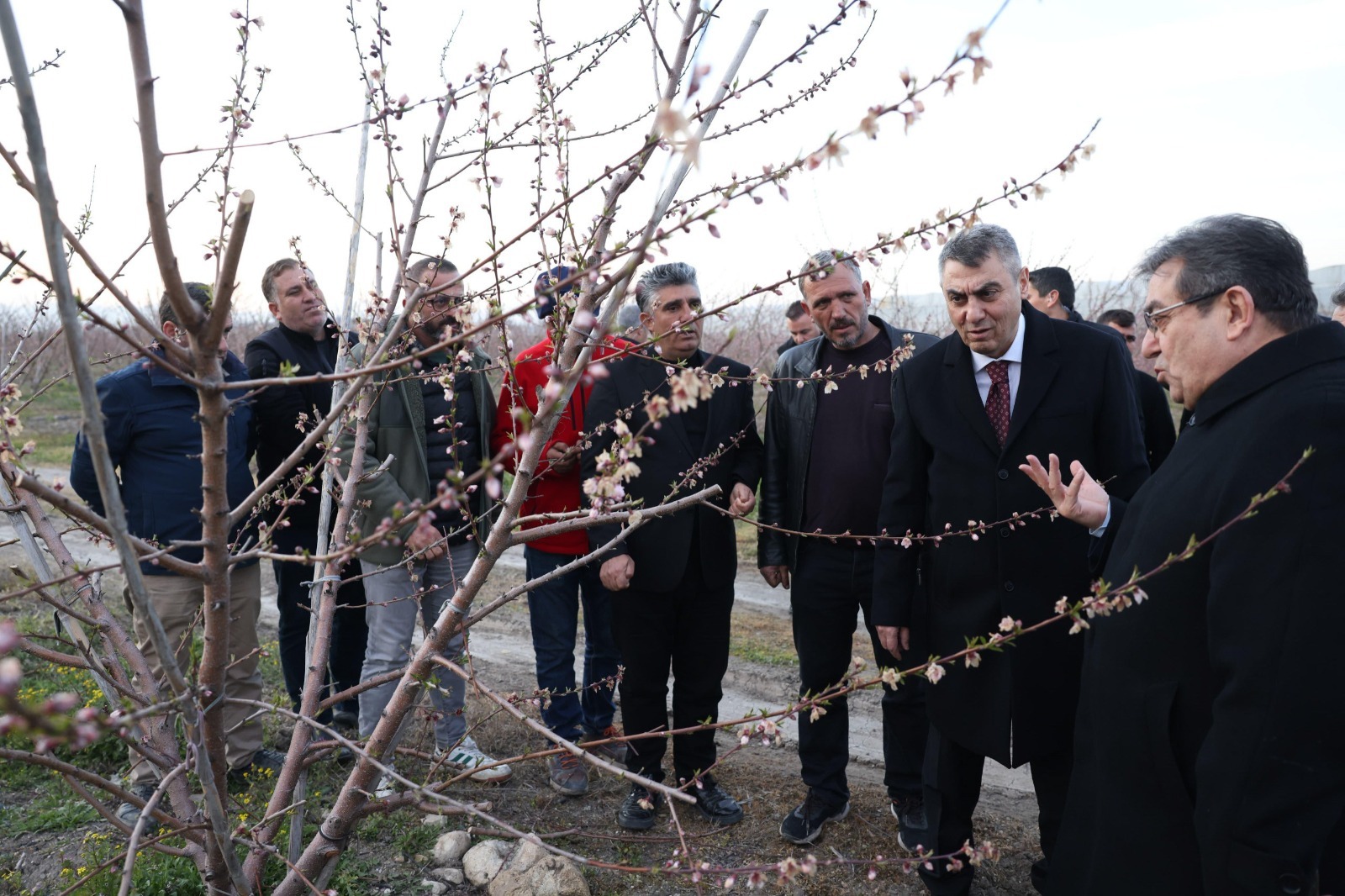 MERSİN VALİSİ ATİLLA TOROS, AKDENİZ İLÇESİNE BAĞLI ANADOLU MAHALLESİ’NDE ÜRÜNLERİ ZARAR GÖREN ÇİFTÇİLERİ ZİYARET ETTİ