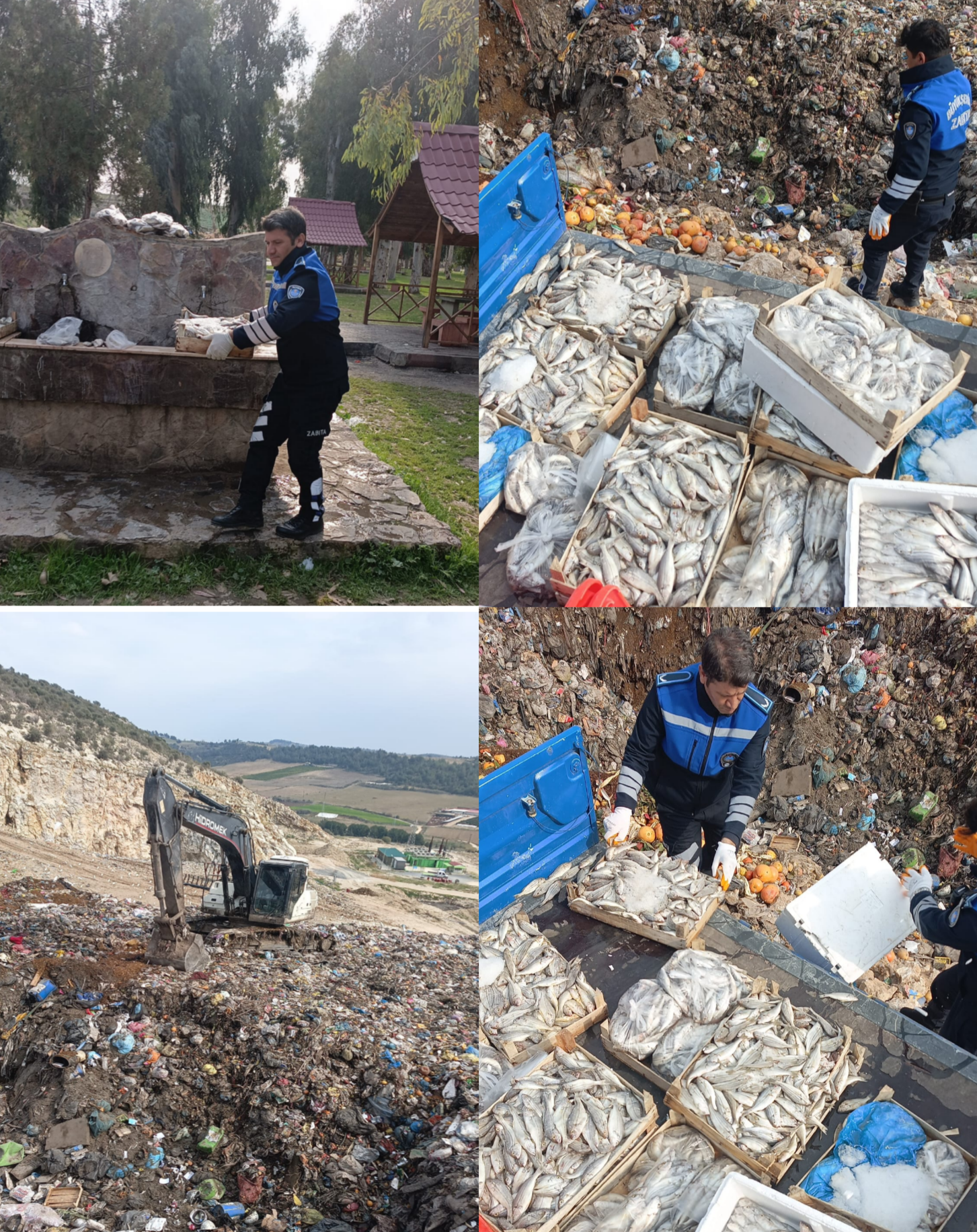 TARSUS’TA SAĞLIKSIZ KOŞULLARDAKİ 16 KASA BALIK İMHA EDİLDİ