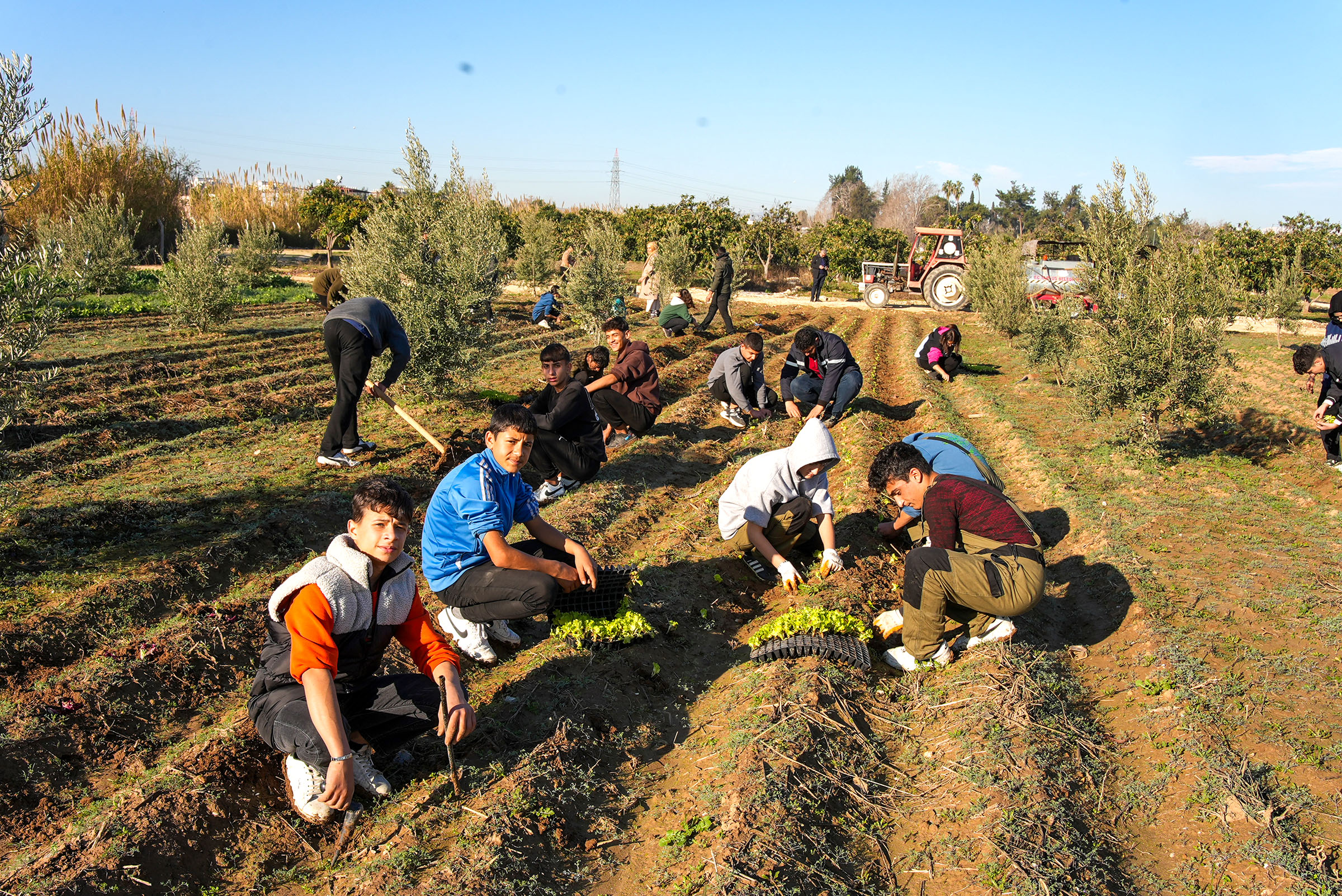 TARSUS BELEDİYESİ'NDEN TARIMA VE EĞİTİME DESTEK: 5 BİN MARUL FİDESİ TOPRAKLA BULUŞTU