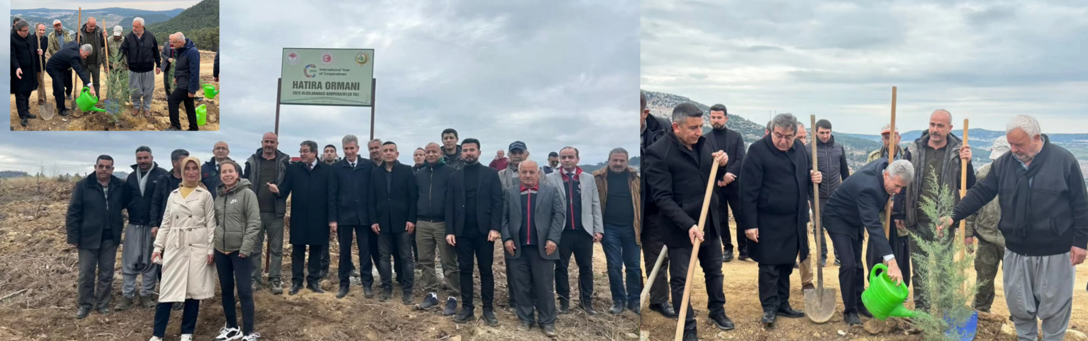 BİRLEŞMİŞ MİLLETLER TARAFINDAN 2025 YILI ULUSLARARASI KOOPERATİFLER YILI DOLAYISI İLE TARSUS' TA HATIRA ORMANI OLUŞTURULDU