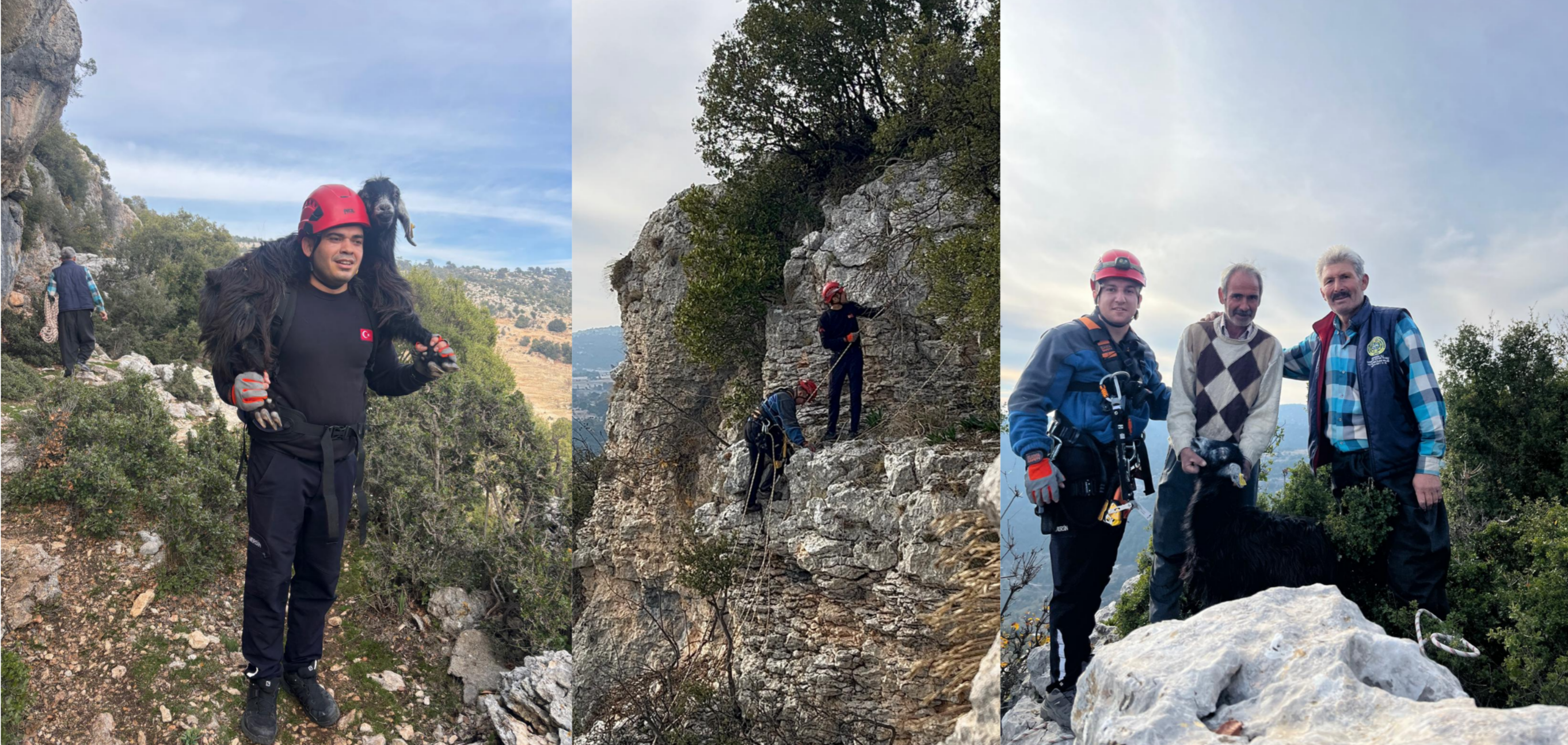 KAYALIKLARDA MAHSUR KALAN KEÇİLERİ MERSİN BÜYÜKŞEHİR İTFAİYESİ KURTARDI