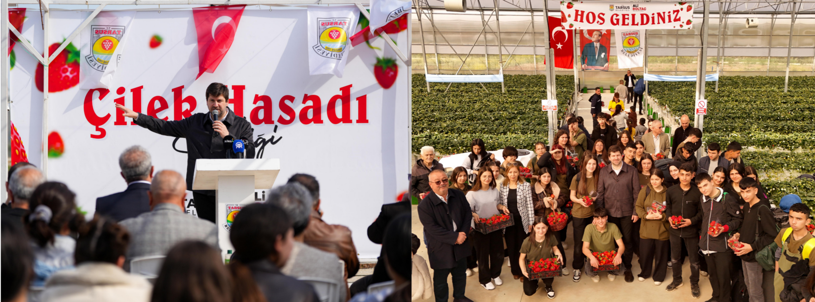 TARSUS’TA ÇİLEK HASADI ŞENLİĞİ: GELECEĞİN TARIM MODELİ İLK MEYVESİNİ VERDİ