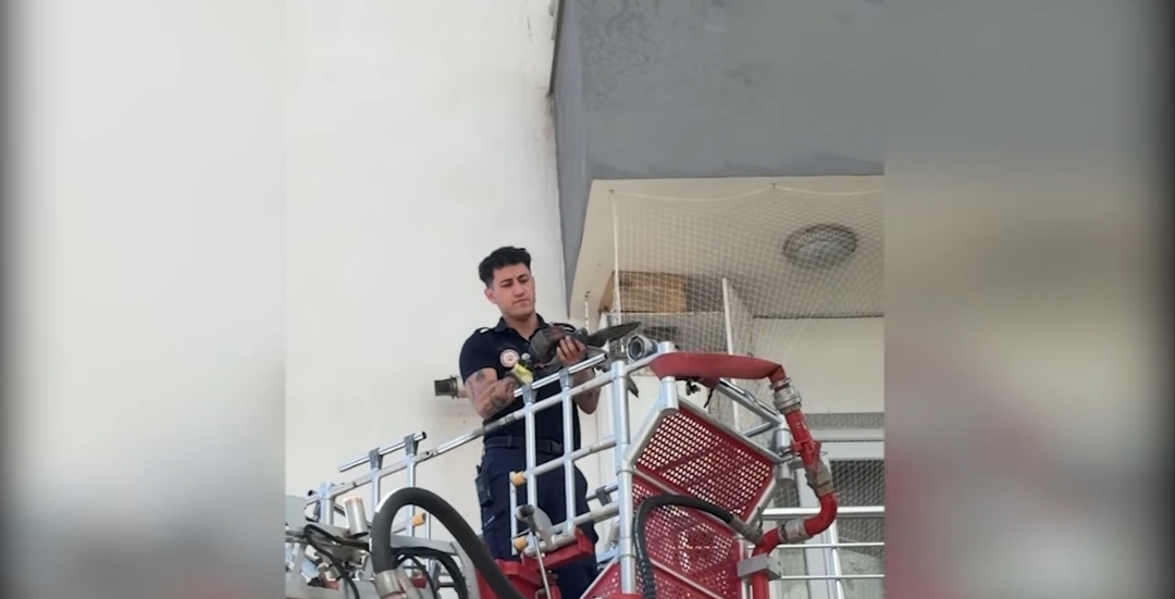 ÇAMAŞIR TELİNE TAKILAN GÜVERCİNİ MERSİN BÜYÜKŞEHİR BELEDİYESİ İTFAİYESİ KURTARDI