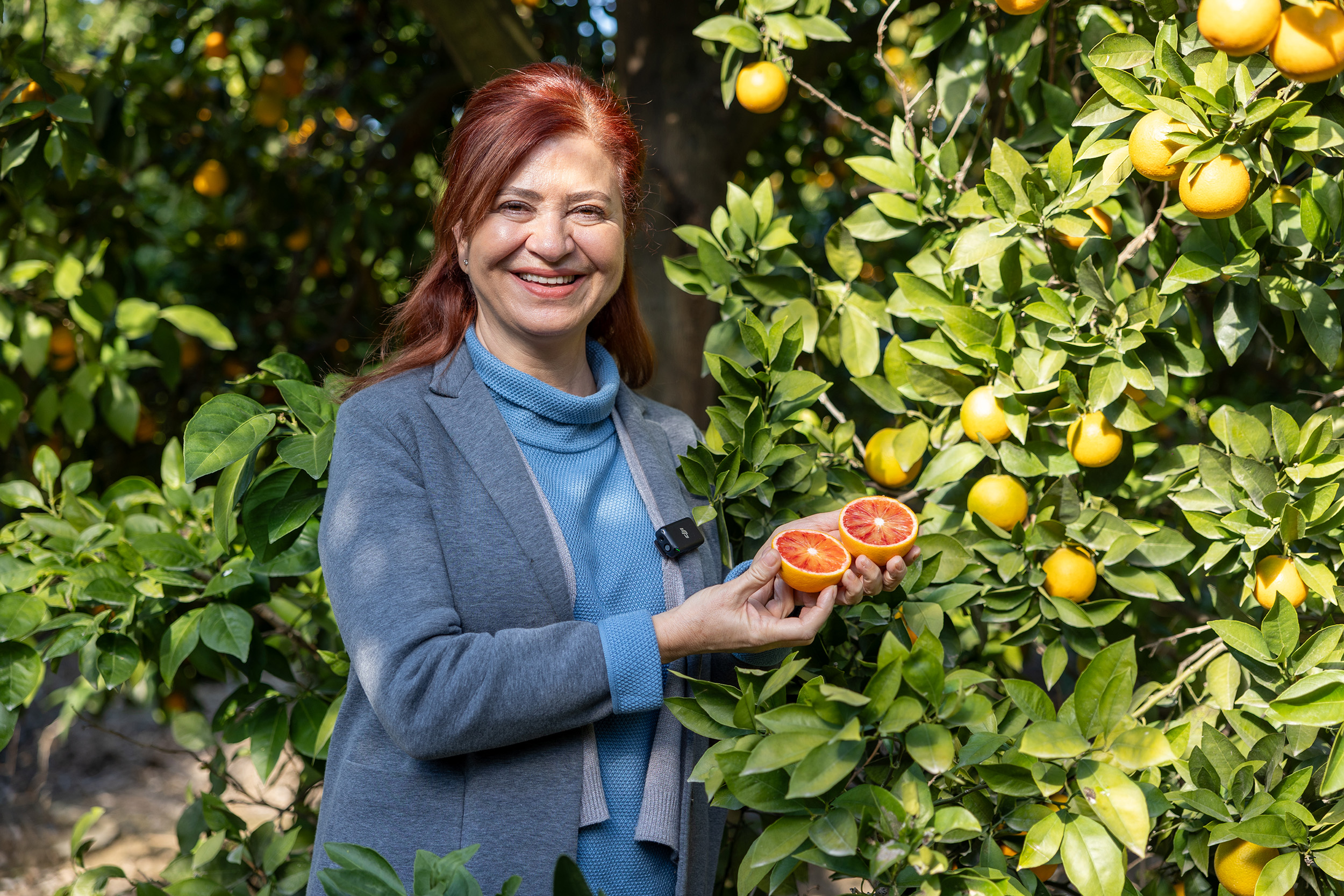 MERSİN KAN PORTAKALI COĞRAFİ İŞARET TESCİLİNİ ALDI